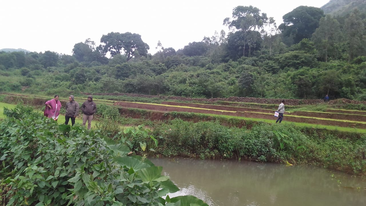 Amélioration de la gestion des ressources en eau en vue de pratiques agricoles durables
